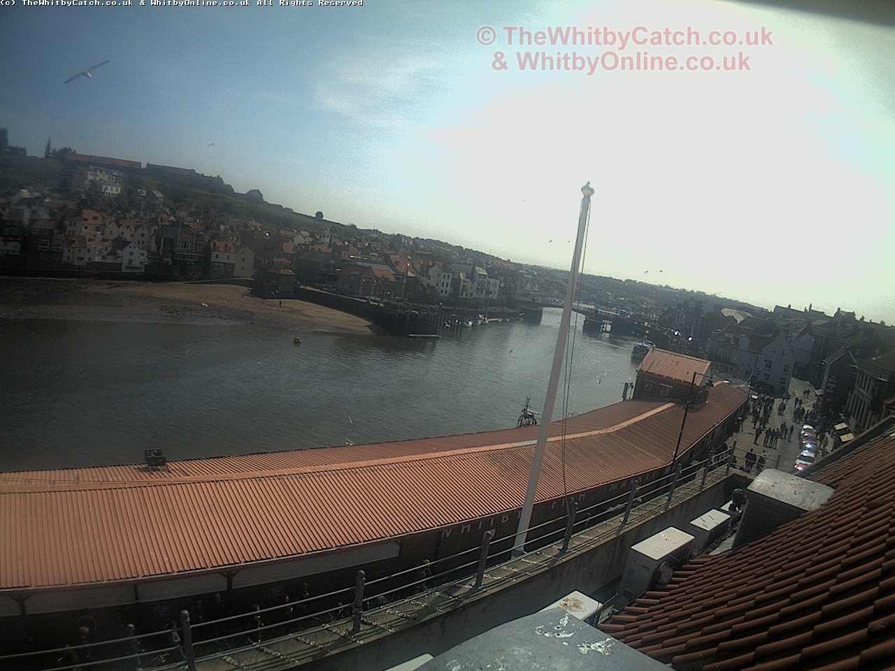 Whitby Sun 30th April 2017 12:36.